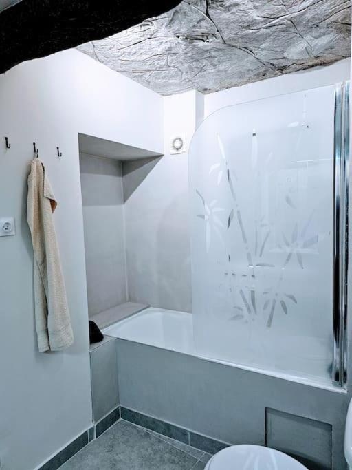 Apartament Oasis Parfumee 4 Couchages Au Coeur De Grasse Wifi Zewnętrze zdjęcie